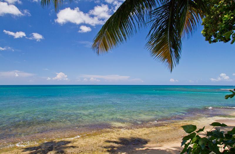 Tres Palmas Inn And Villas Rincon Bagian luar foto